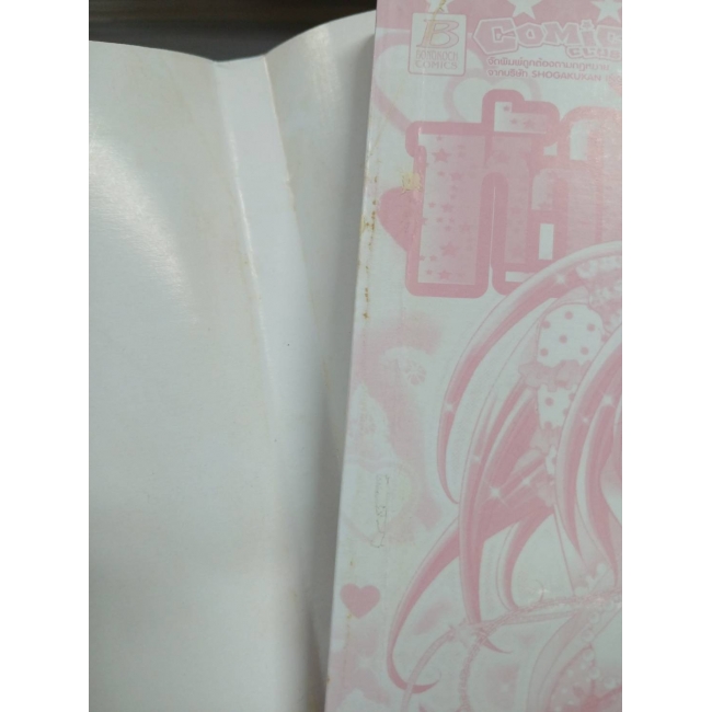 สาวใสหัวใจเกินร้อย 10 **รบกวนเลื่อนดูสภาพหนังสือก่อนการสั่งซื้อ**